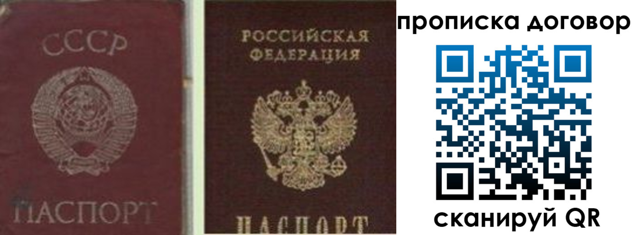 прописка гарантия в Благовещенске